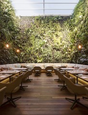 207-copiar-aspect-ratio-924x1180