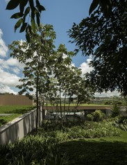 0215-aspect-ratio-924x1180