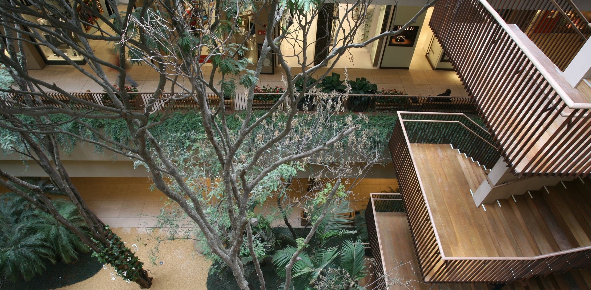 Shopping Cidade Jardim