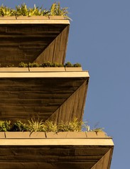 099-aspect-ratio-924x1180